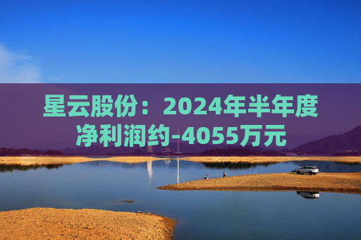 星云股份：2024年半年度净利润约-4055万元