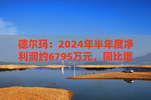 德尔玛：2024年半年度净利润约6795万元，同比增加0.71%