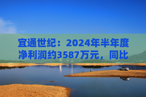 宜通世纪：2024年半年度净利润约3587万元，同比增加1057.5%