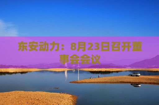 东安动力：8月23日召开董事会会议