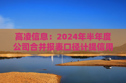 高凌信息：2024年半年度公司合并报表口径计提信用减值损失和资产减值损失合计1675.12万元