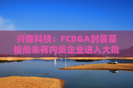 兴森科技：FCBGA封装基板尚未有内资企业进入大批量量产阶段