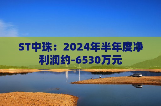 ST中珠：2024年半年度净利润约-6530万元