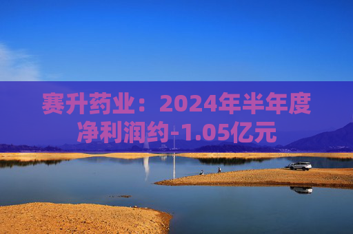 赛升药业：2024年半年度净利润约-1.05亿元