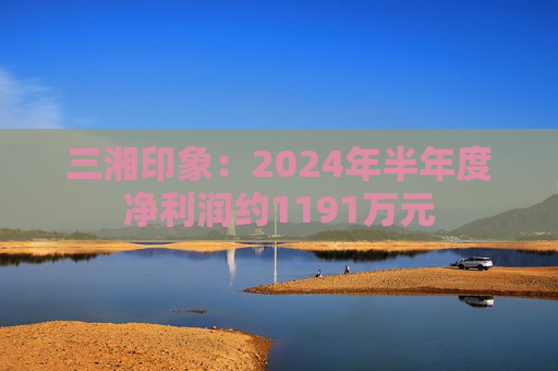 三湘印象：2024年半年度净利润约1191万元