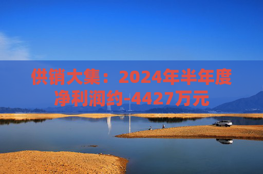 供销大集：2024年半年度净利润约-4427万元