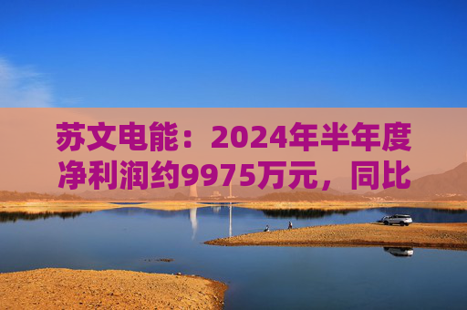 苏文电能：2024年半年度净利润约9975万元，同比下降27.86%