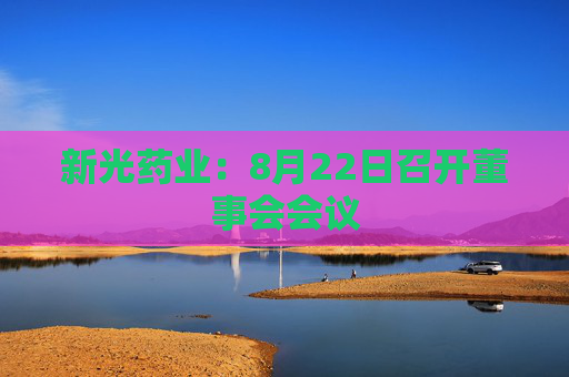 新光药业：8月22日召开董事会会议