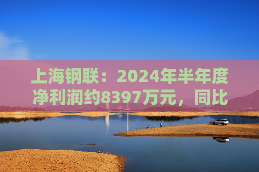 上海钢联：2024年半年度净利润约8397万元，同比下降29.41%