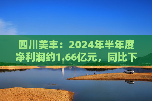 四川美丰：2024年半年度净利润约1.66亿元，同比下降34.08%