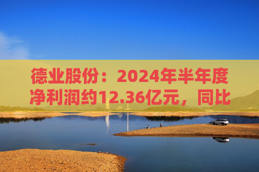 德业股份：2024年半年度净利润约12.36亿元，同比下降2.21%