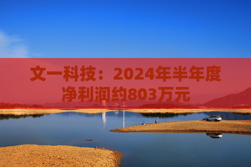 文一科技：2024年半年度净利润约803万元