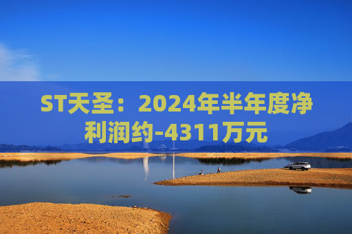 ST天圣：2024年半年度净利润约-4311万元