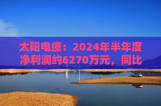 太阳电缆：2024年半年度净利润约6270万元，同比下降35.89%