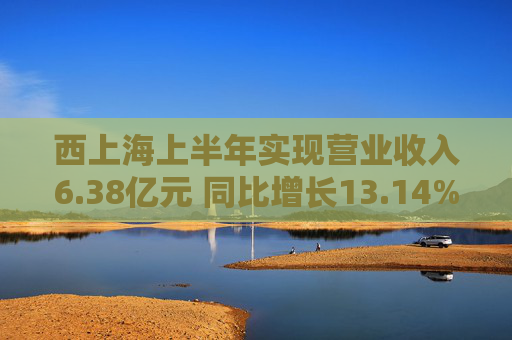 西上海上半年实现营业收入6.38亿元 同比增长13.14%