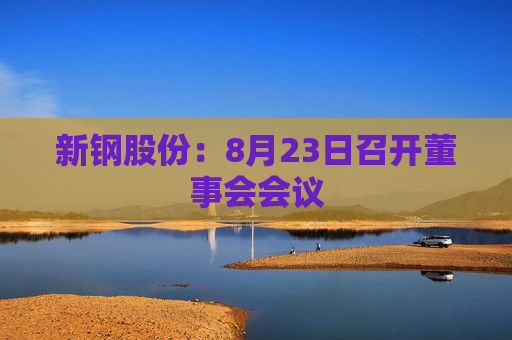 新钢股份：8月23日召开董事会会议