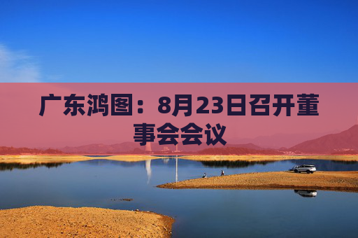 广东鸿图：8月23日召开董事会会议