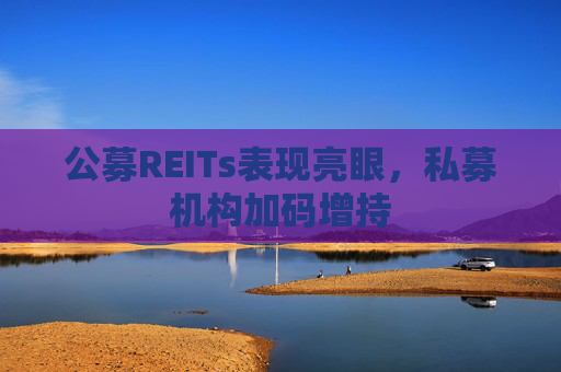 公募REITs表现亮眼，私募机构加码增持