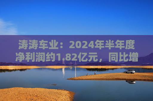 涛涛车业：2024年半年度净利润约1.82亿元，同比增加35.36%