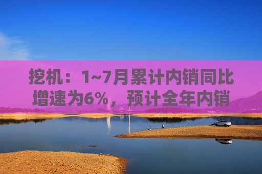 挖机：1~7月累计内销同比增速为6%，预计全年内销增速为5~10%