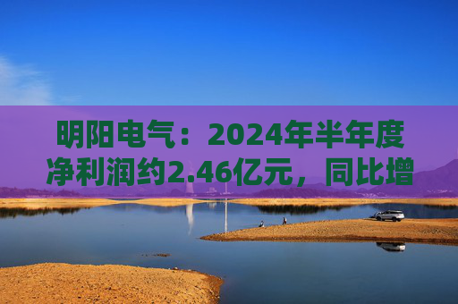 明阳电气：2024年半年度净利润约2.46亿元，同比增加52.36%