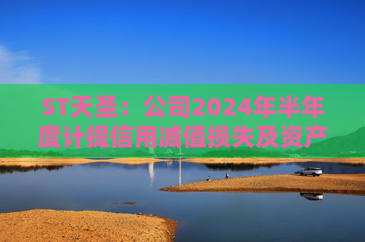 ST天圣：公司2024年半年度计提信用减值损失及资产减值损失合计约1046.31万元