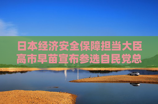 日本经济安全保障担当大臣高市早苗宣布参选自民党总裁