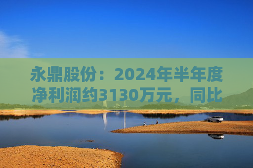 永鼎股份：2024年半年度净利润约3130万元，同比下降22.19%