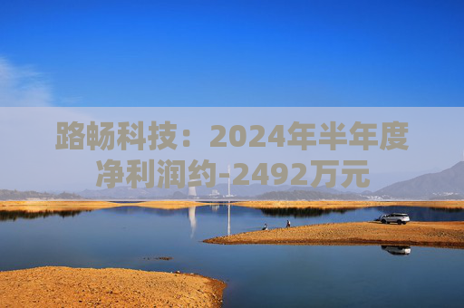 路畅科技：2024年半年度净利润约-2492万元