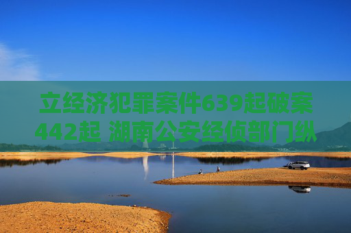 立经济犯罪案件639起破案442起 湖南公安经侦部门纵深推进夏季治安打击整治行动