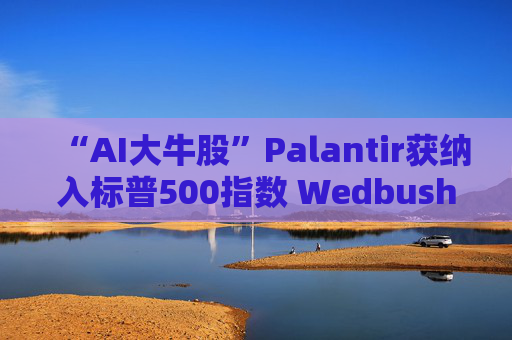 “AI大牛股”Palantir获纳入标普500指数 Wedbush赞不绝口