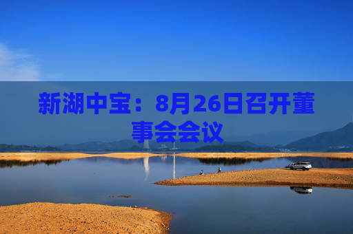 新湖中宝：8月26日召开董事会会议