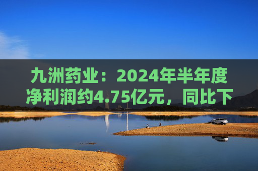 九洲药业：2024年半年度净利润约4.75亿元，同比下降23.62%