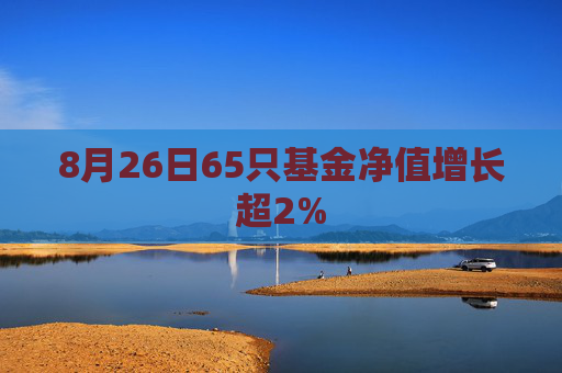 8月26日65只基金净值增长超2%