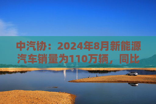 中汽协：2024年8月新能源汽车销量为110万辆，同比增长30%