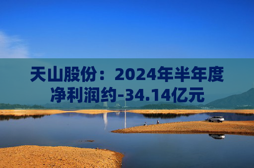 天山股份：2024年半年度净利润约-34.14亿元