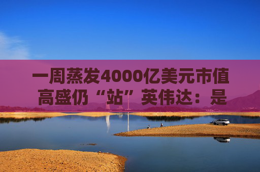 一周蒸发4000亿美元市值 高盛仍“站”英伟达：是过度抛售