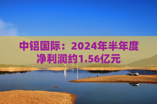 中铝国际：2024年半年度净利润约1.56亿元