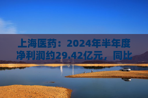 上海医药：2024年半年度净利润约29.42亿元，同比增加12.72%