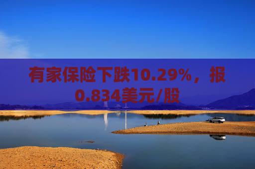 有家保险下跌10.29%，报0.834美元/股