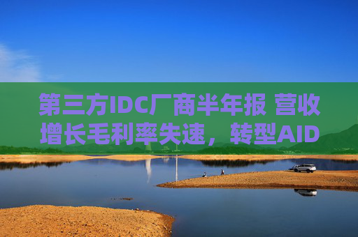 第三方IDC厂商半年报 营收增长毛利率失速，转型AIDC跑马圈地