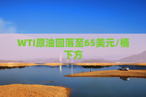 WTI原油回落至65美元/桶下方