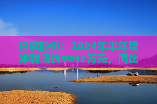 柏诚股份：2024年半年度净利润约9952万元，同比增加7.21%