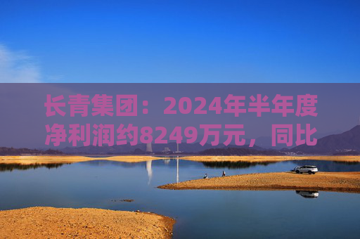 长青集团：2024年半年度净利润约8249万元，同比增加7.45%