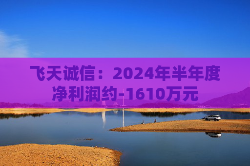 飞天诚信：2024年半年度净利润约-1610万元