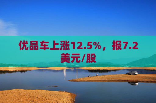 优品车上涨12.5%，报7.2美元/股