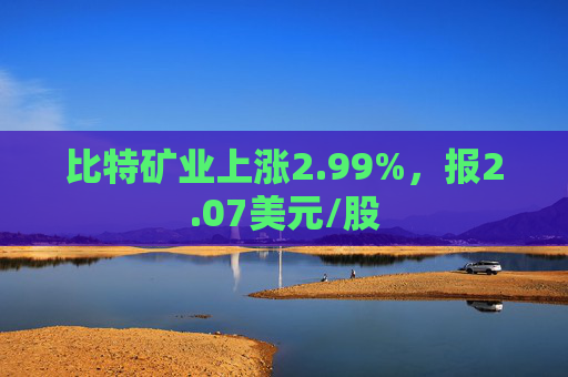 比特矿业上涨2.99%，报2.07美元/股