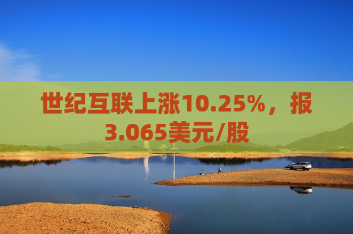 世纪互联上涨10.25%，报3.065美元/股