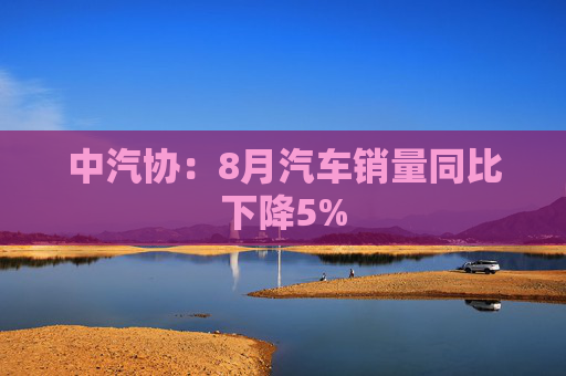 中汽协：8月汽车销量同比下降5%