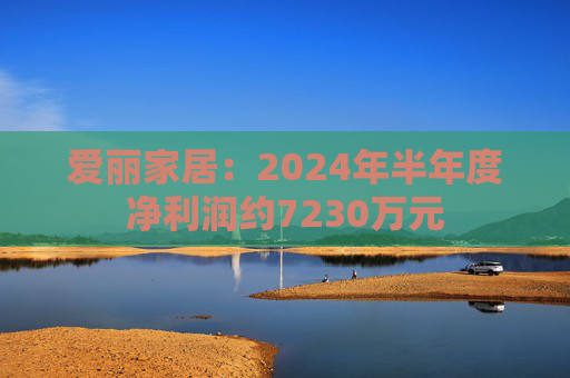 爱丽家居：2024年半年度净利润约7230万元